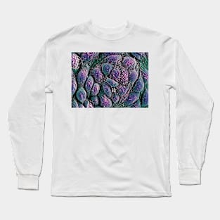 Embryonic stem cells, SEM (G442/0236) Long Sleeve T-Shirt